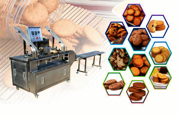 304 Stainless Steel Complete Biscuit Production Line for Walnut Cake Biscuits