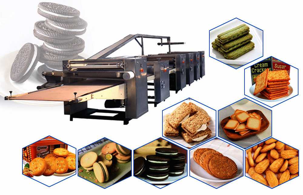 304 Stainless Steel Complete Biscuit Production Line for Walnut Cake Biscuits