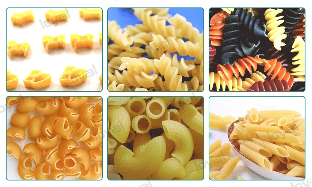 Sample Of Pasta Macaroni Making Machine 