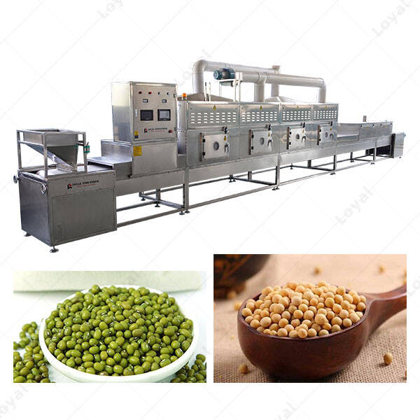 Tunnel Microwave Drying Sterilizing Machine for Grain Millet Mung Beans Buckwheat Red Beans
