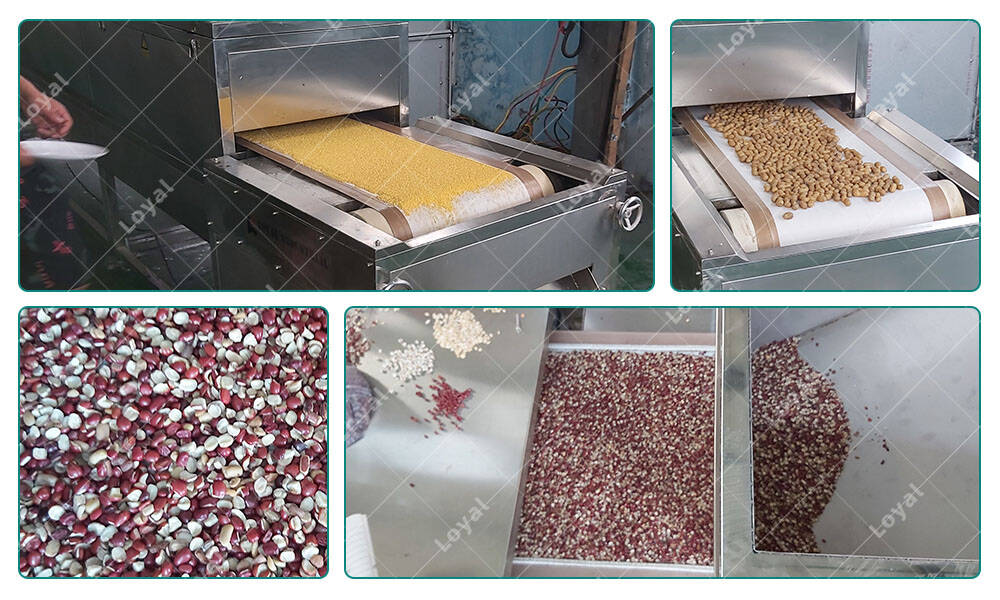 Test of&nbsp;Tunnel Microwave Drying Sterilizing Machine for Grain Millet Mung Beans Buckwheat Red Beans in Customer‘s Workshop