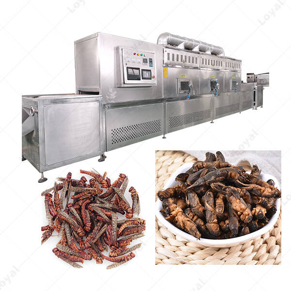 Industrial Microwave Grasshopper Locust Dehydration Machine