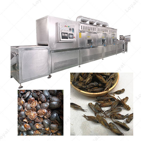 Industrial Microwave Grasshopper Locust Dehydration Machine