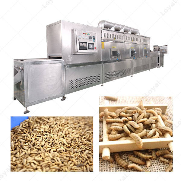 Conveyor Belt Type Black Soldier Fly Larvae Microwave Drying Machine