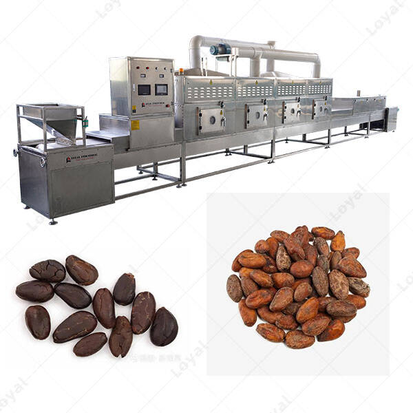 PLC Control Conveyor Mesh Belt Dryer Cocoa Beans Microwave Drying Machine