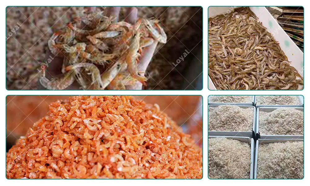 60Kw High Quality Industrial Continuous Microwave  Drying Machine In Factory