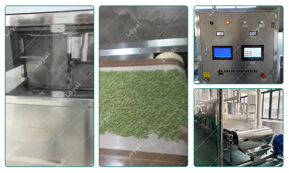  &nbsp; Automatic Industrial Tunnel Tofu Crystal Cats Litter Microwave Sterilizing Drying Machine Professional Microwave Technology Team