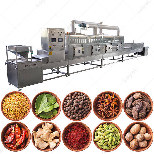 High Quality Tunnel Seasoning Microwave Dryer Condiment Sterilization Equipment from China