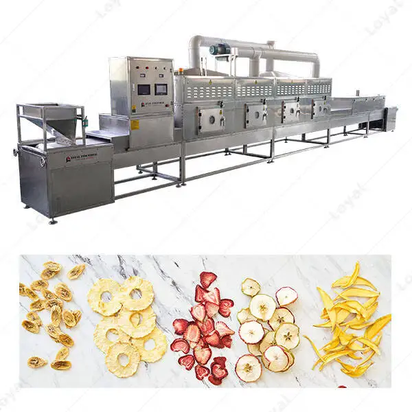 High Quality Continuous Microwave Sterilization Machine For Dehydrated Fruits And Vegetables
