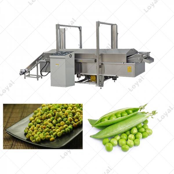 Stainless Steel Green Peas Frying Machine Green Beans Frying System