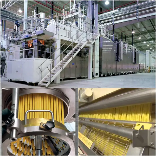 PLC Control Vacuum Pasta Production Line
